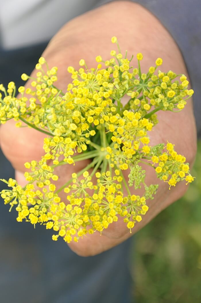 GuteSachen_Home_Slide_Desktop_06_220111