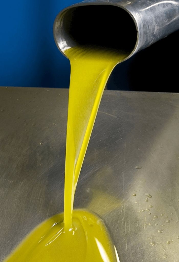 GuteSachen_Isul_Olivenöl_Arbequina_LaRioja_Spanien_Bio_2_20220223