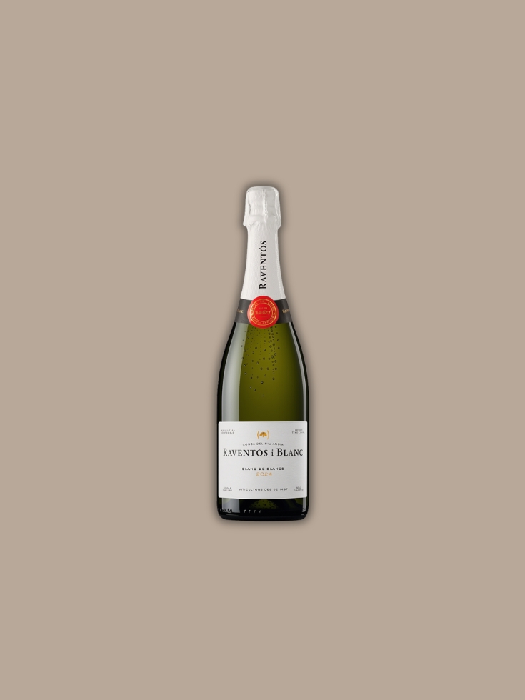 Raventos i Blanc - Blanc de Blancs 2024 bio