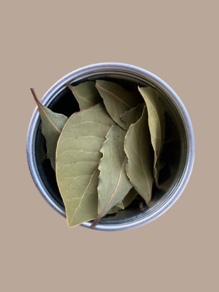 Lorbeerblätter handverlesen